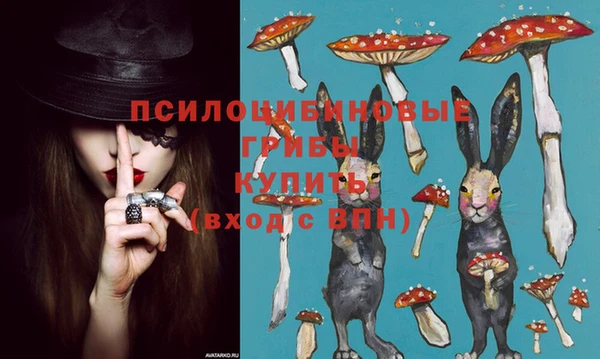 стаф Вяземский
