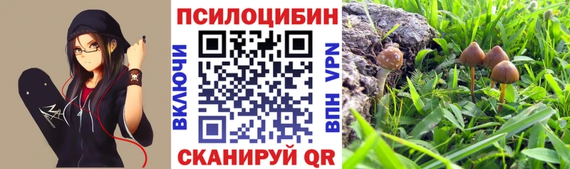 Псилоцибиновые грибы ЛСД  Кувшиново 